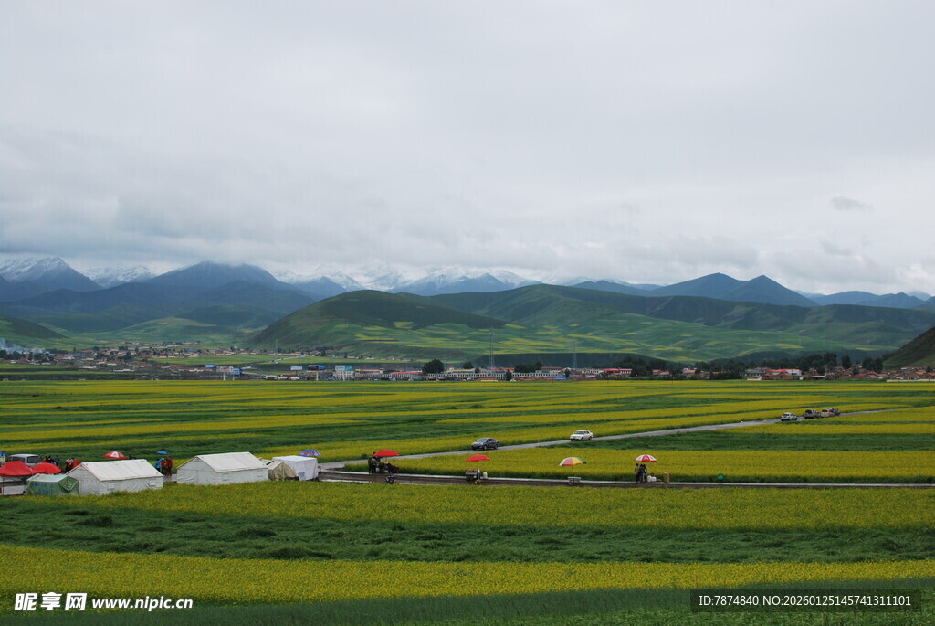 草原风光中的多彩帐篷
