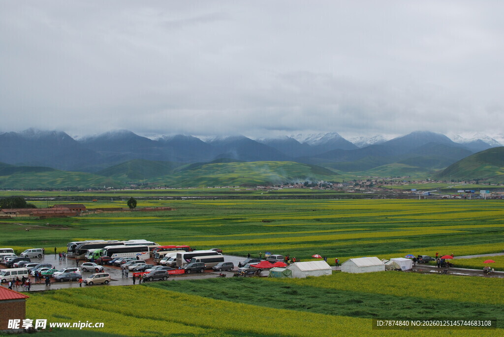 田园风光中的多彩露营场景