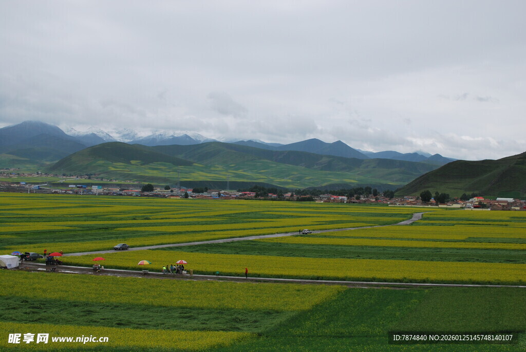 田园油菜花田与远山美景