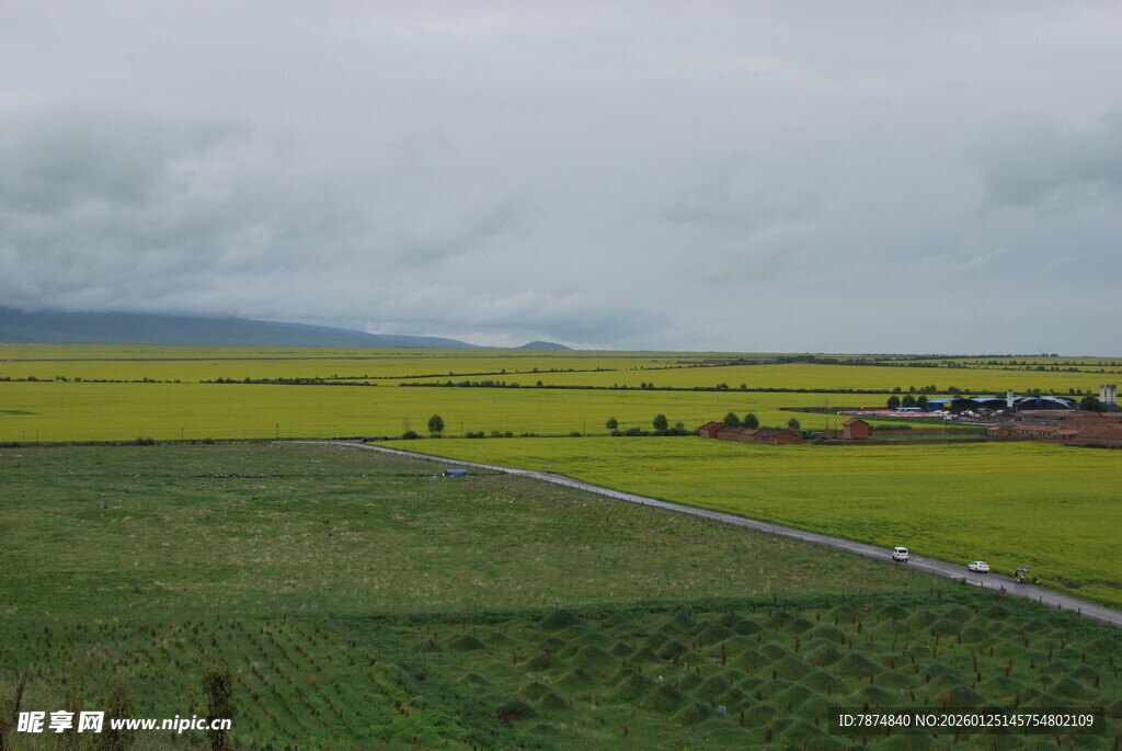 广袤田野中的蜿蜒道路