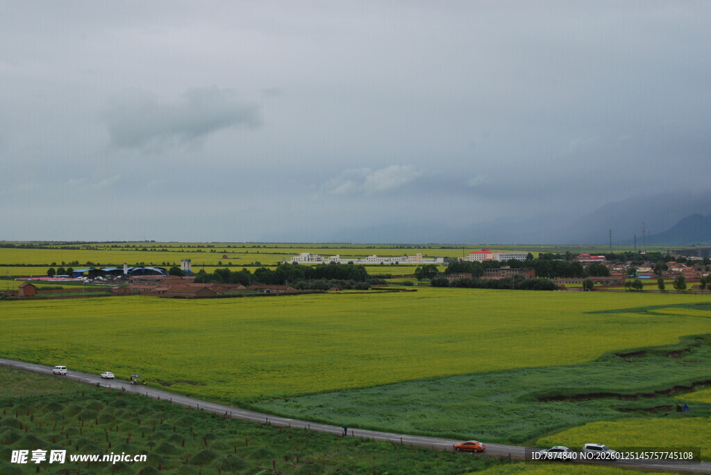 田野风光 黄绿相间的美景