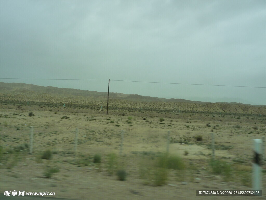 荒漠中的稀疏植被景观