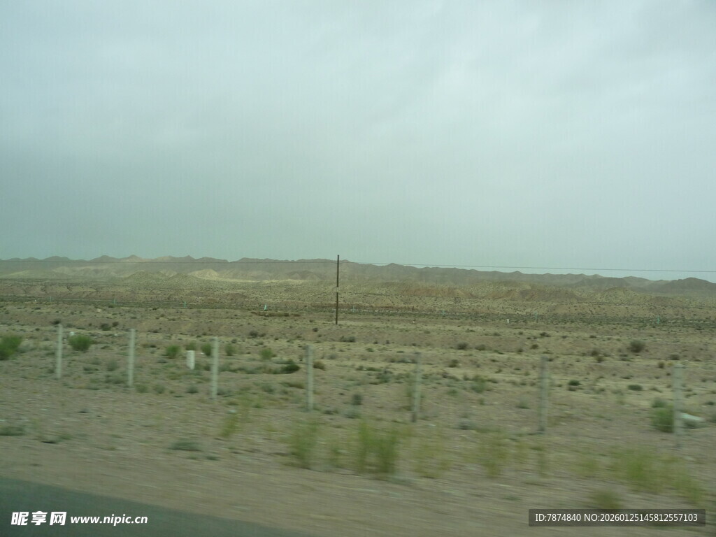 荒漠公路旁的稀疏植被