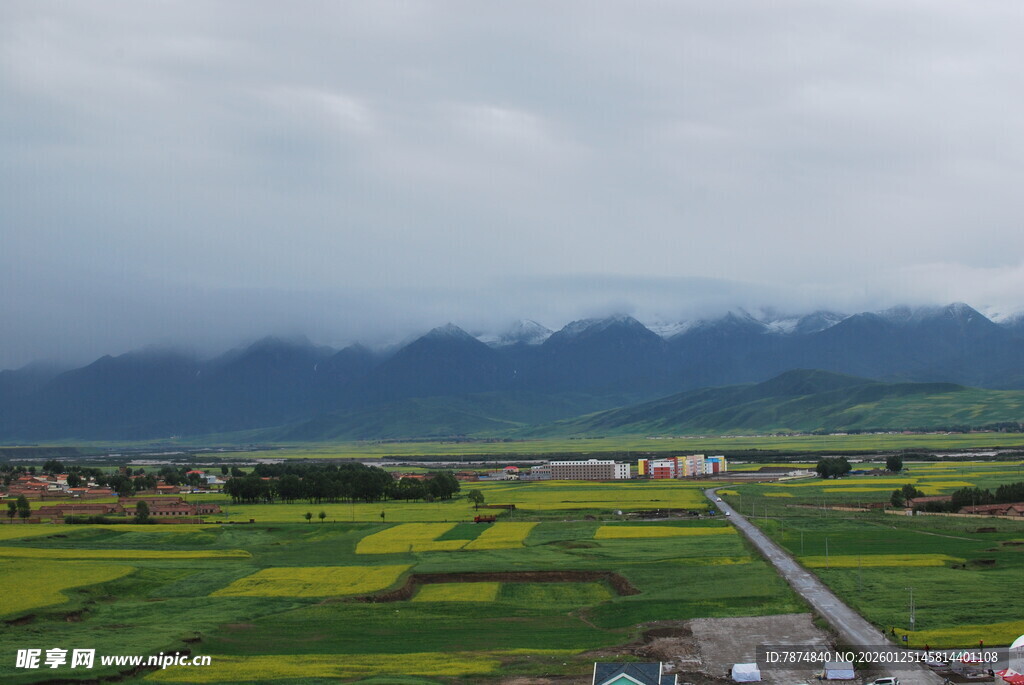 田园风光中的多彩田野