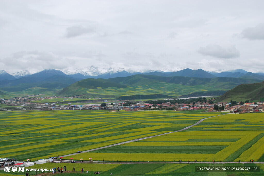 田园风光 黄绿农田与远山
