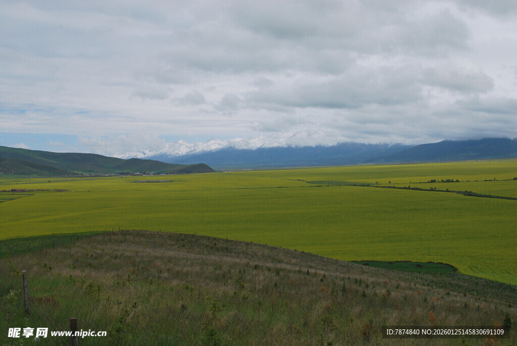 草原绿野 云下壮阔风光