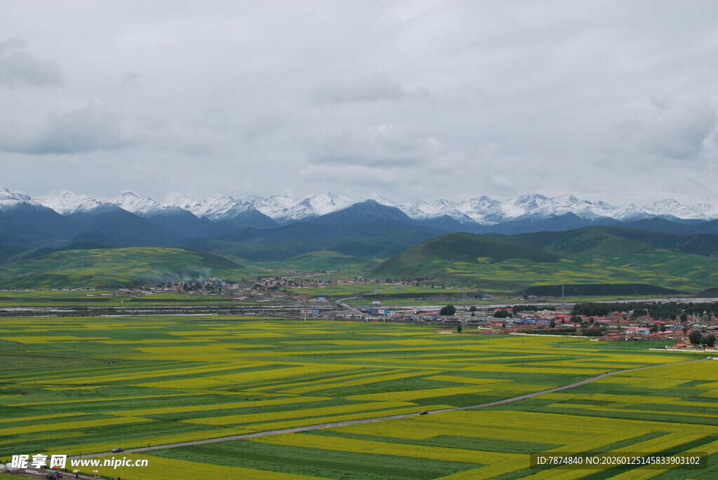 高原油菜花海与远山美景