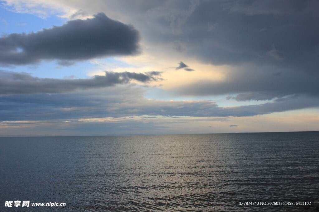 海上黄昏飞鸟与云景