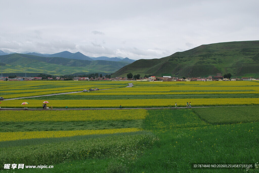 田园风光中的多彩农田