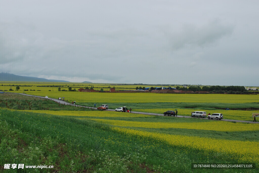 草原上的多彩田园风光