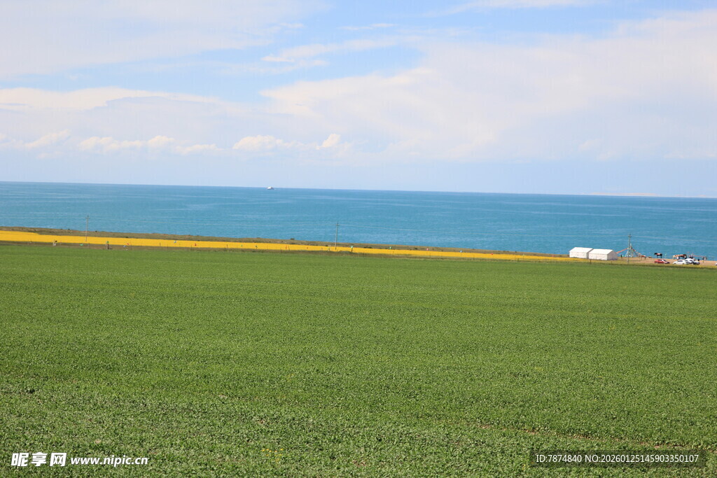 草原与海的美丽风光