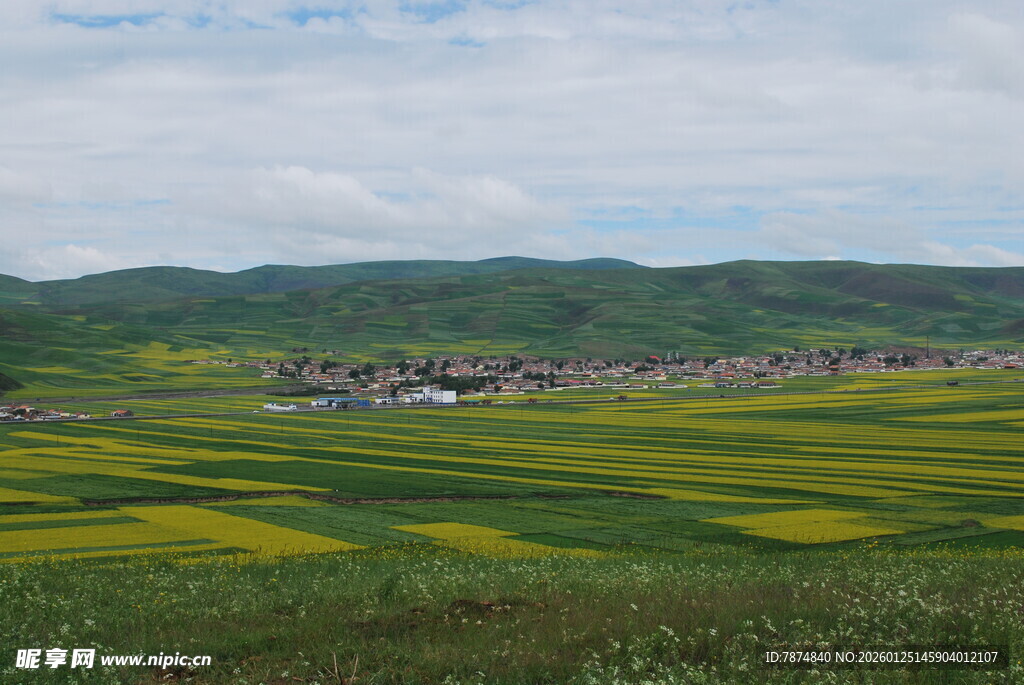 田园油菜花海乡村美景