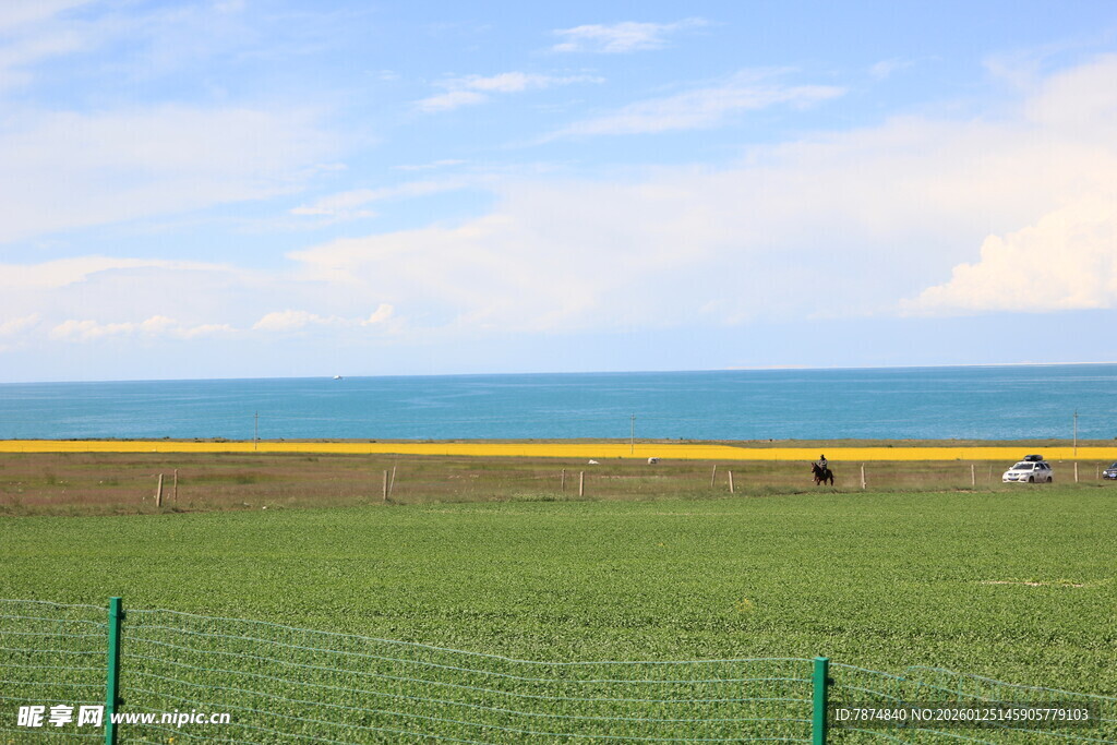 草原边的广阔蓝色海洋