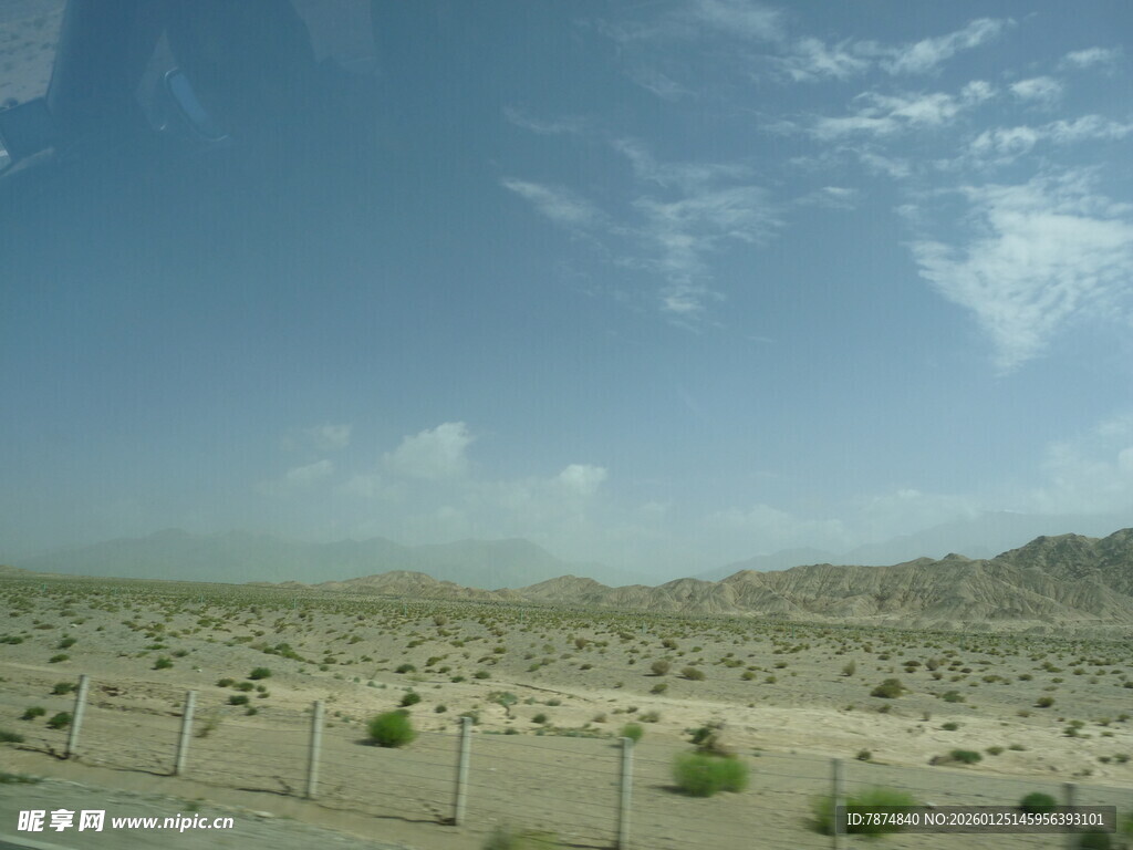 沙漠公路旁的稀疏绿植