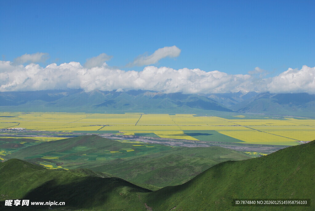 壮美草原花海与远山景观
