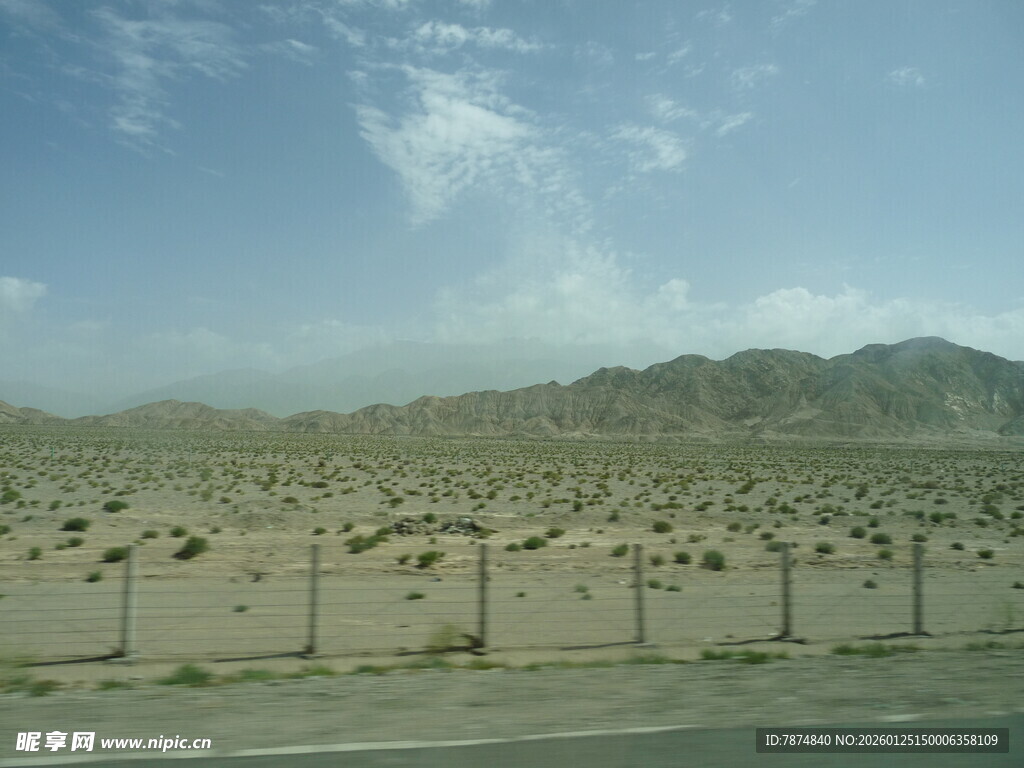 沙漠中的整齐树木景观