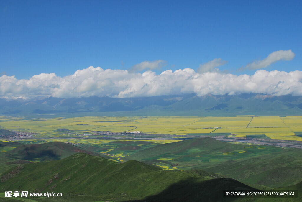 壮美山川间的金黄花海