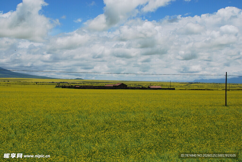 广袤绿野 蓝天白云下的田园