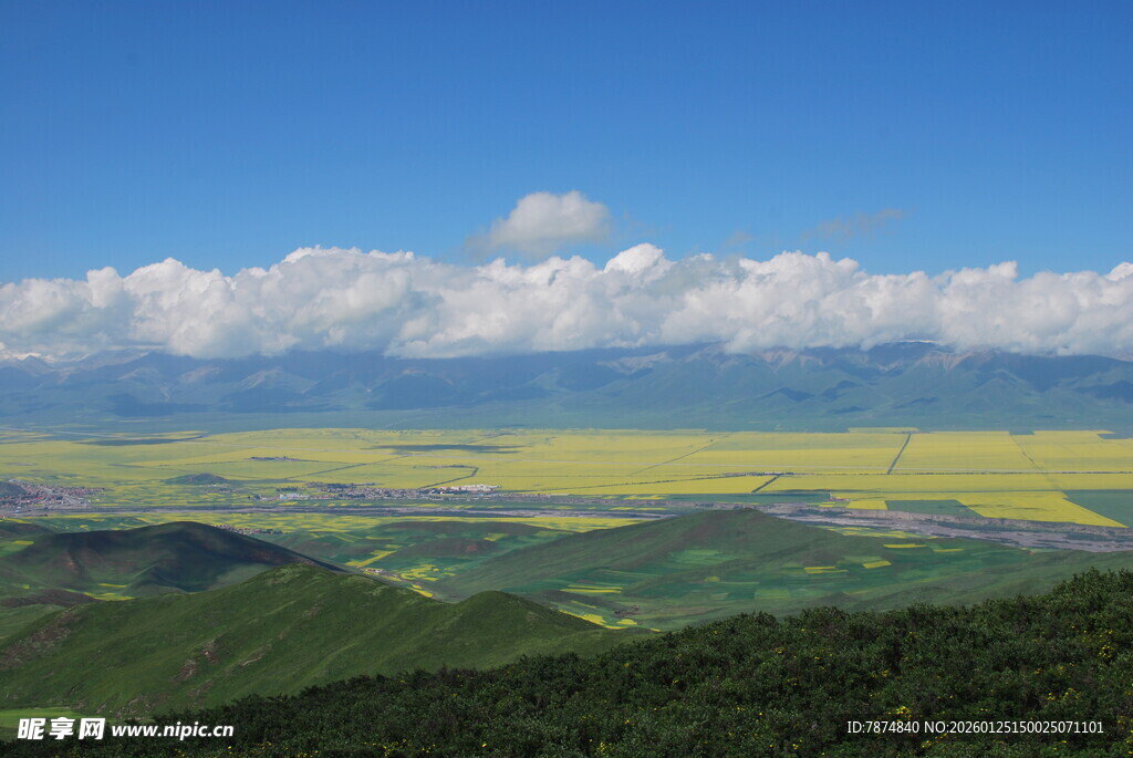 山间油菜花海壮丽景观