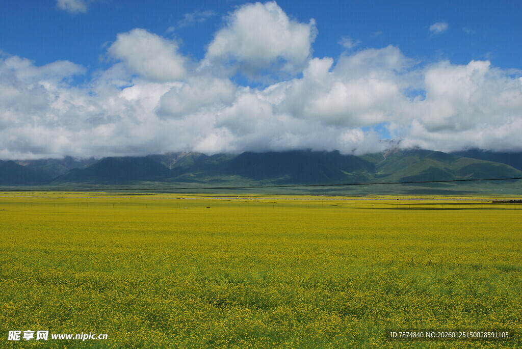 广袤草原与蓝天白云美景