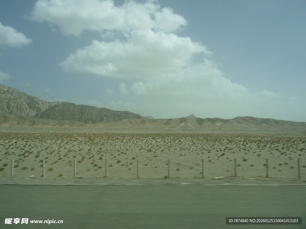 荒漠公路边的稀疏植被