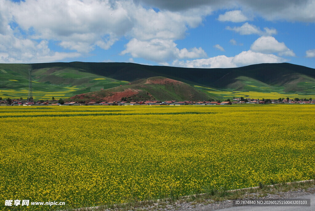 金黄油菜田与远山蓝天