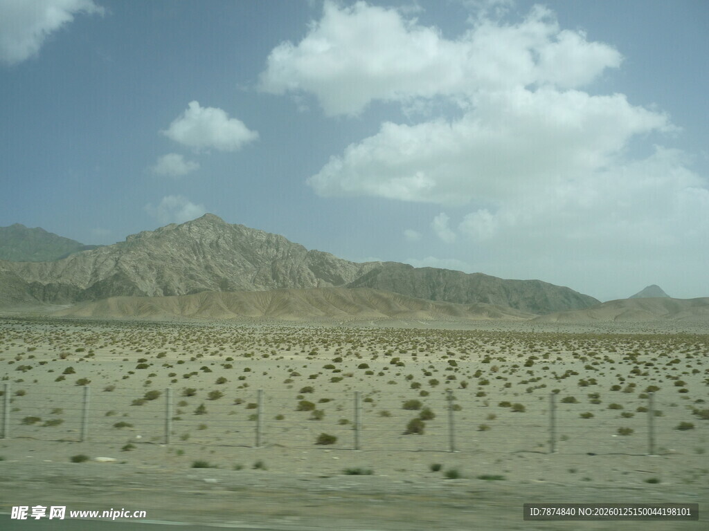 荒漠中的稀疏植被景观