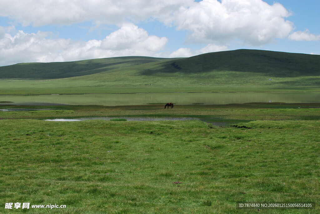 草原风光 广袤绿野