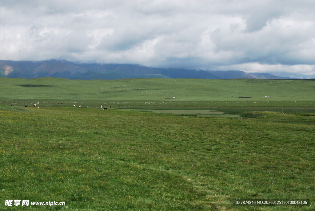广袤草原远景