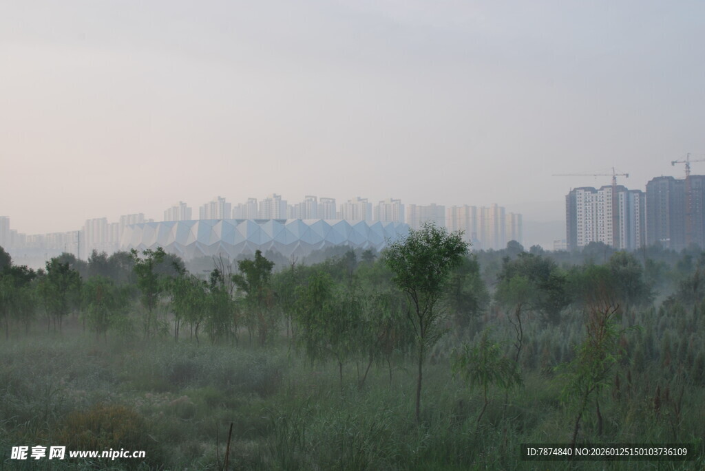 城郊晨景 绿植与远楼相映