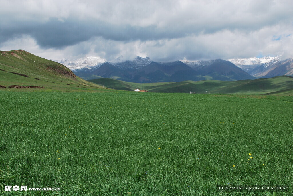 广袤绿野与远山的自然景致
