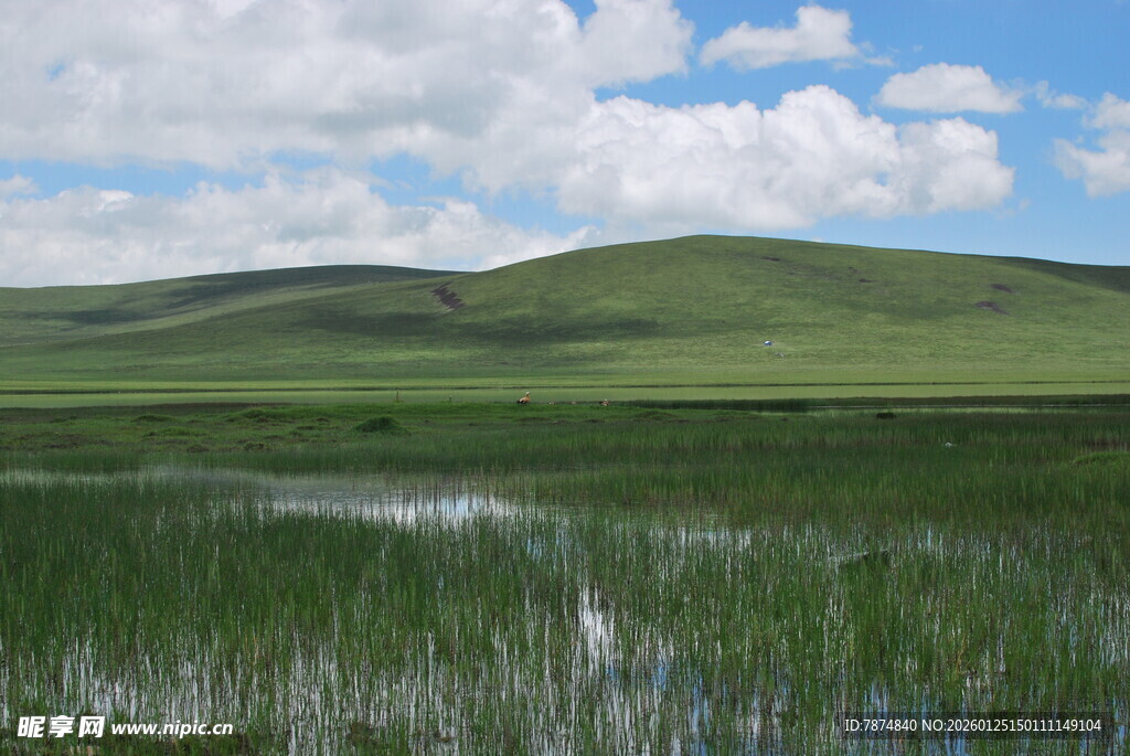 草原湿地风光