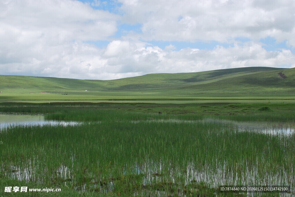 草原湿地风光