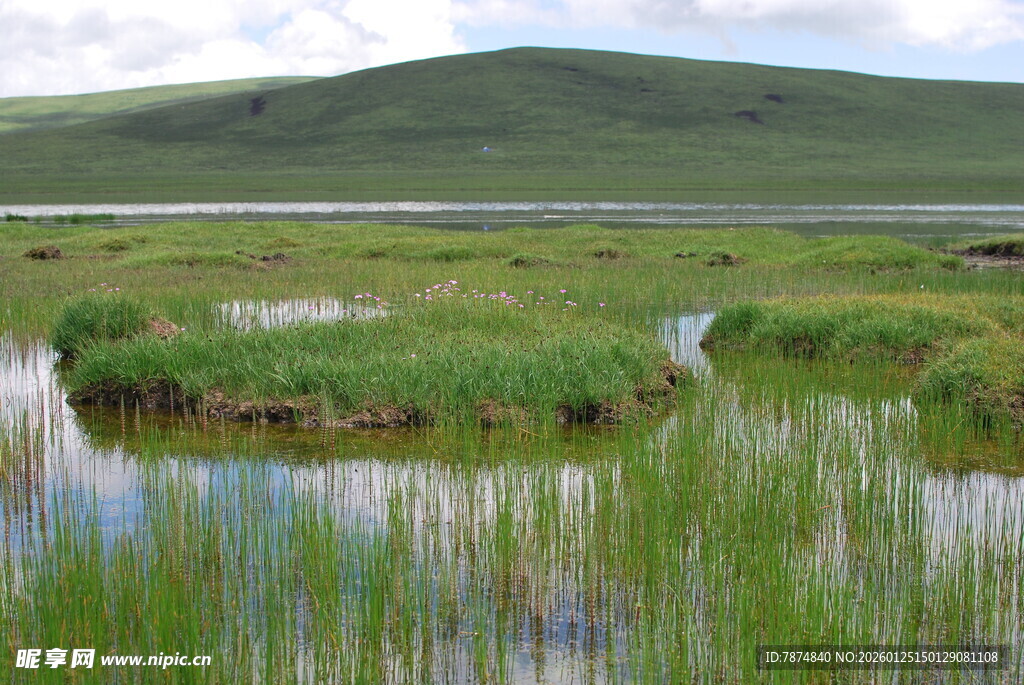 草原湿地风光美景