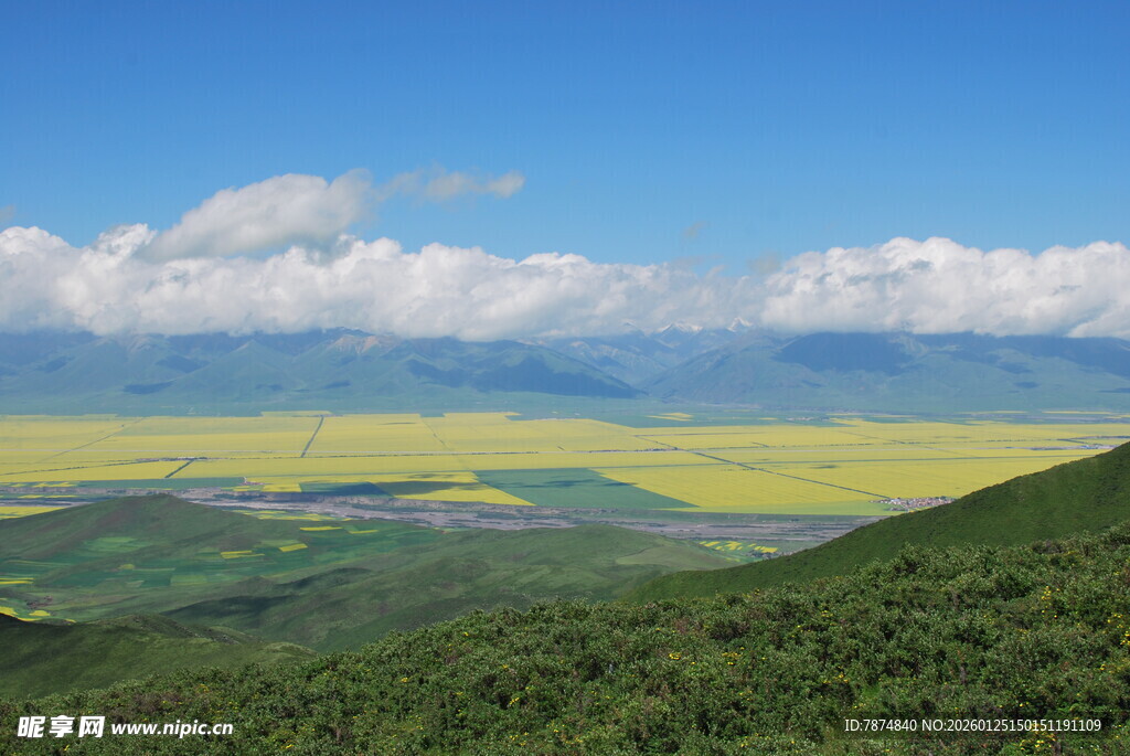 油菜花海与远山蓝天美景