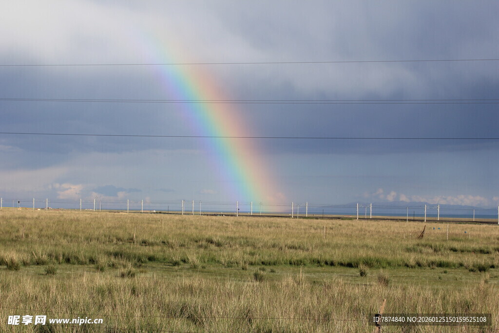 草原上空的绚丽彩虹