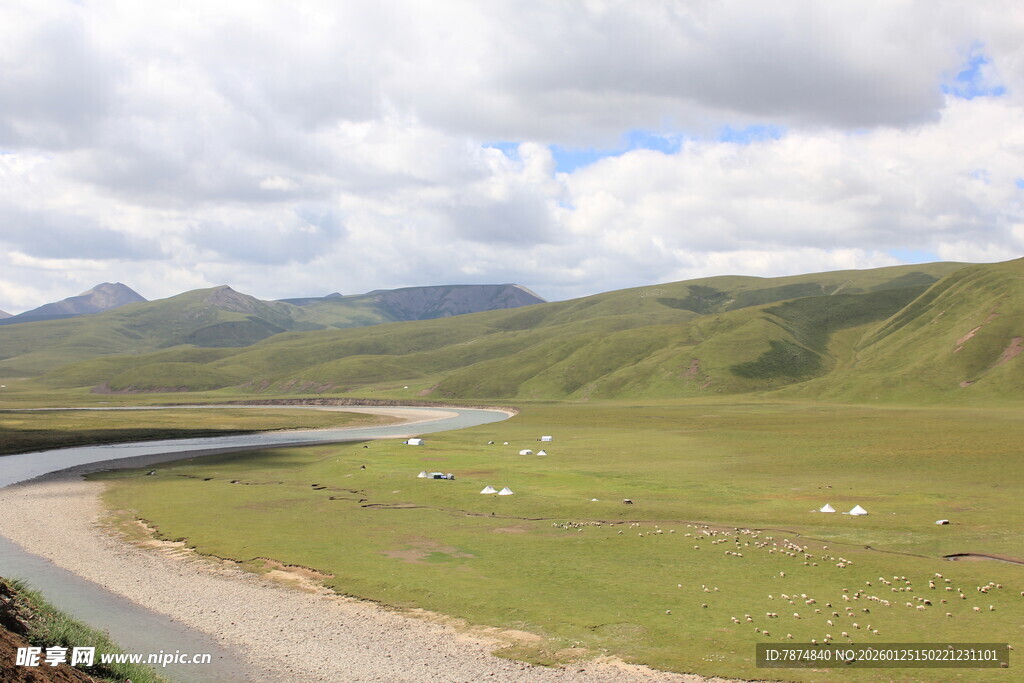 草原河畔羊群的美丽风光