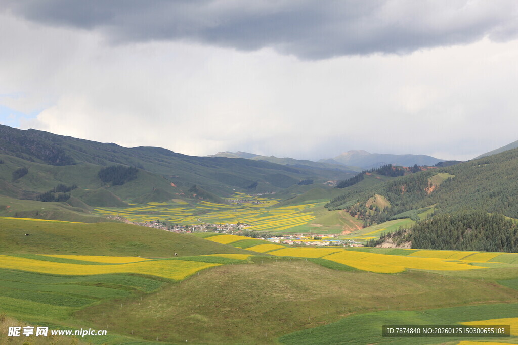 山间黄绿田野与云雾美景