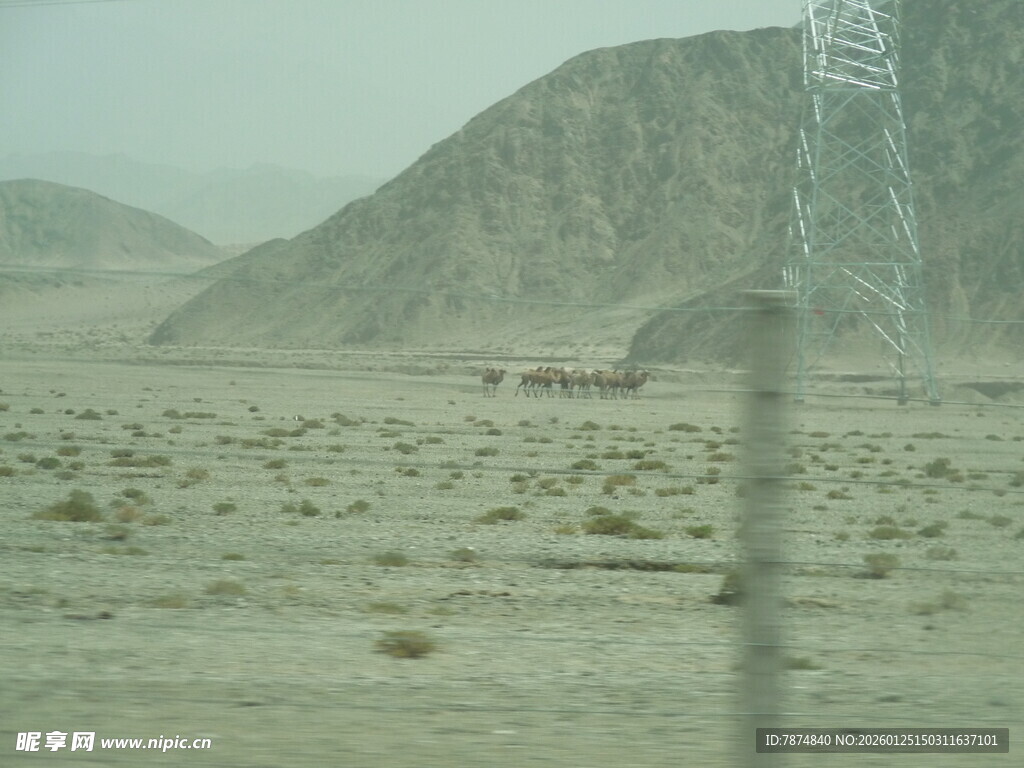 荒漠中的输电塔