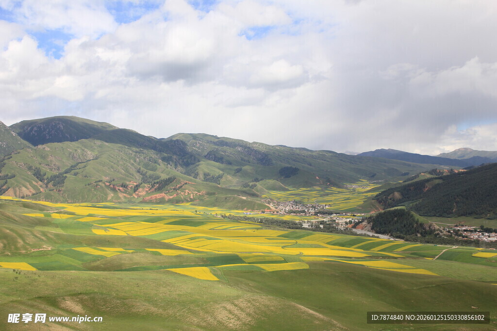 山间油菜花海田园风光