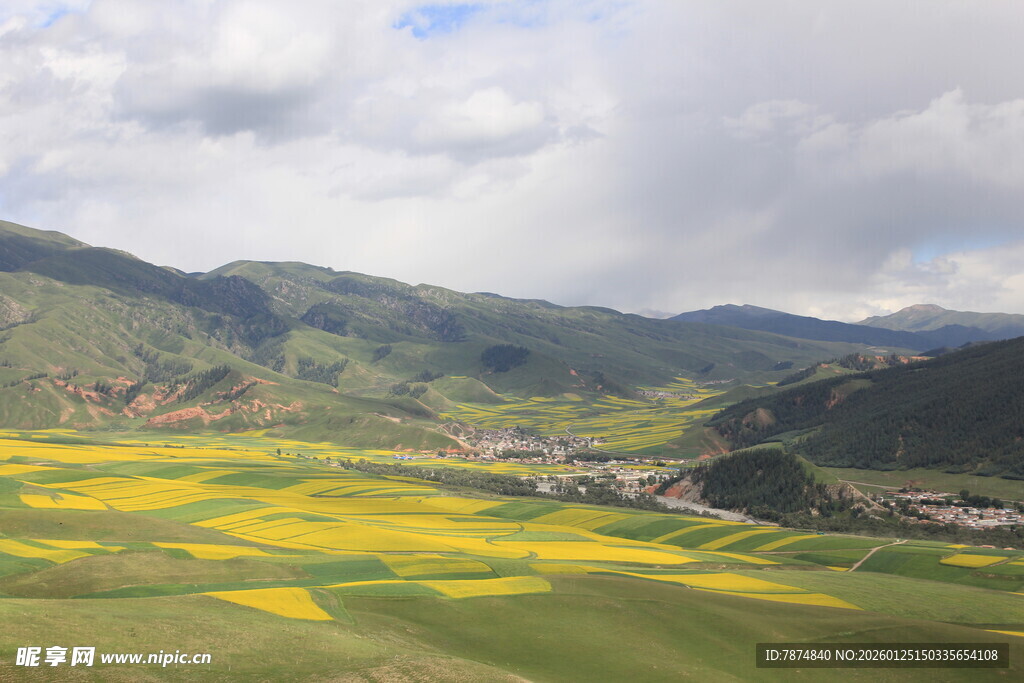 山间油菜花海田园美景