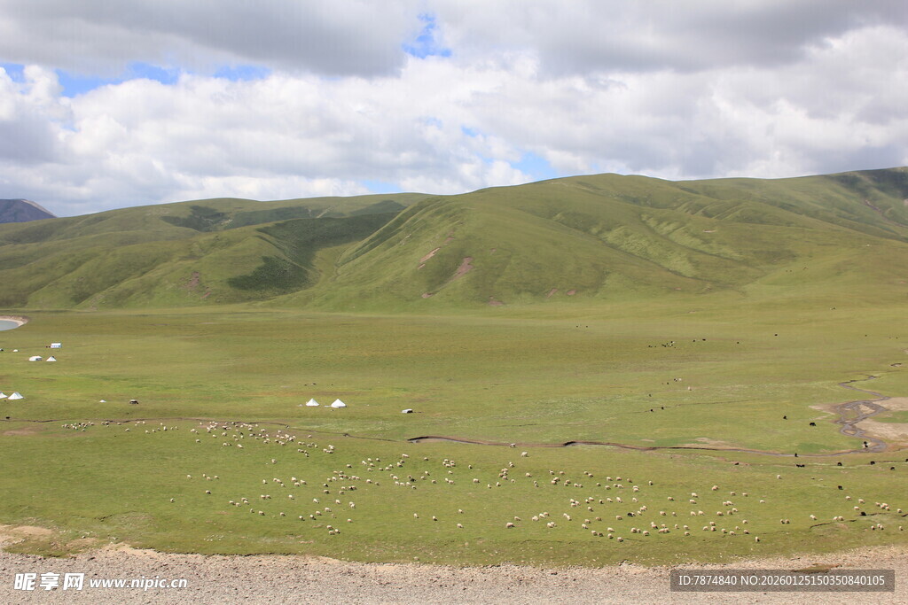广袤草原与远处山峦景观
