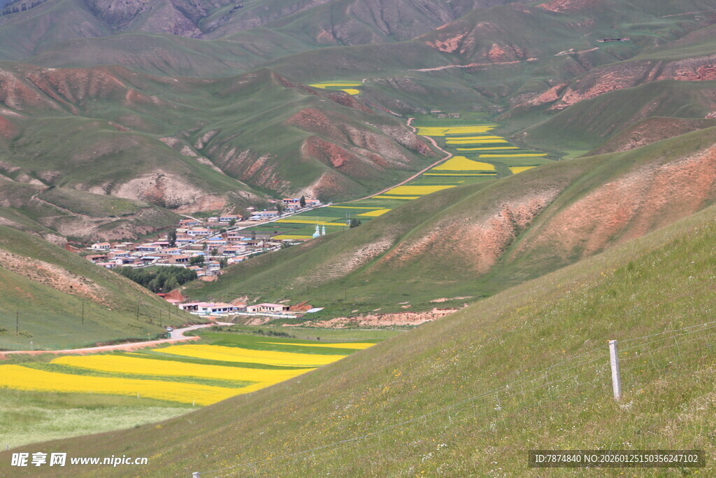 山间油菜花田中的村落