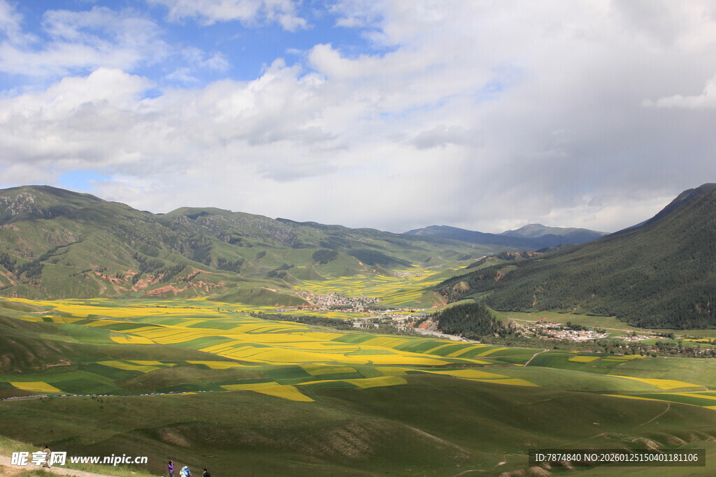 山间绚烂花海田园美景