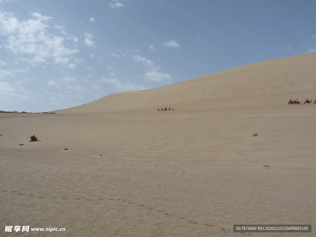 广袤沙漠中的驼队景观