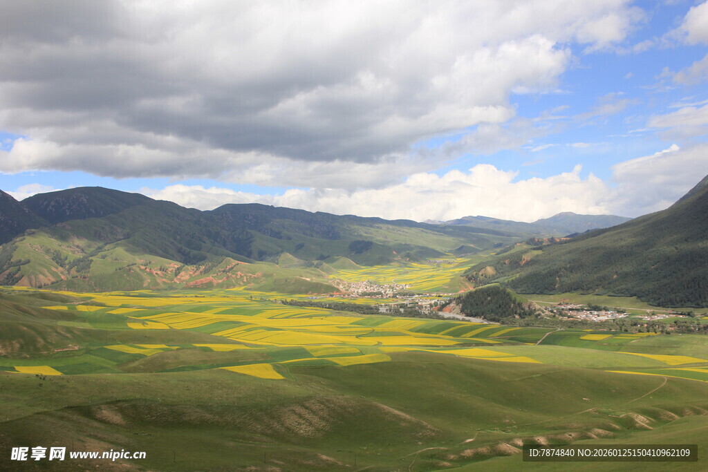 山间油菜花海美丽风光