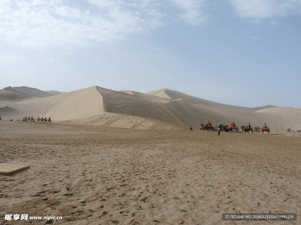 沙漠中的骆驼队景观