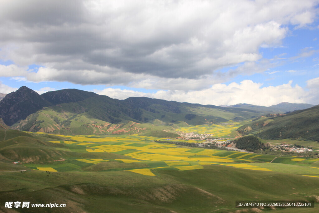 山间油菜花海美景