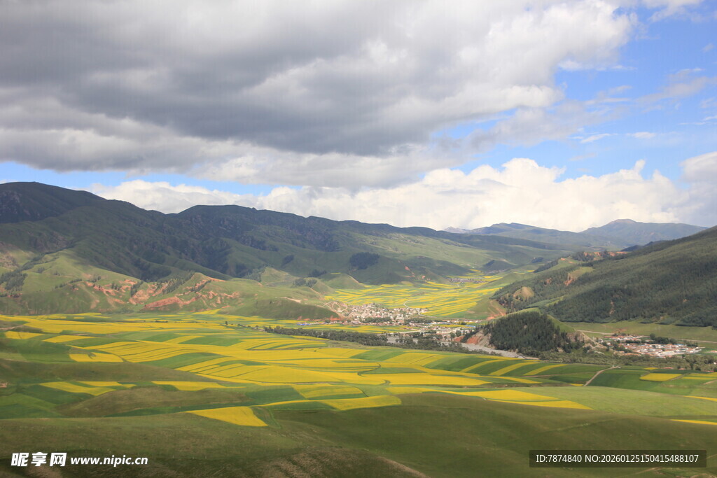 草原花海与远山美景