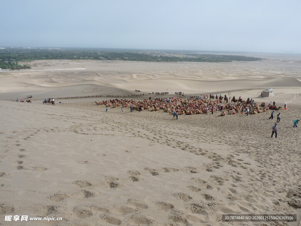 沙漠驼队行进壮观景象